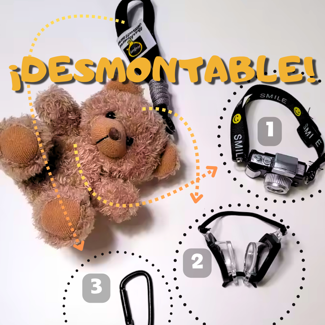 Travel Bear™